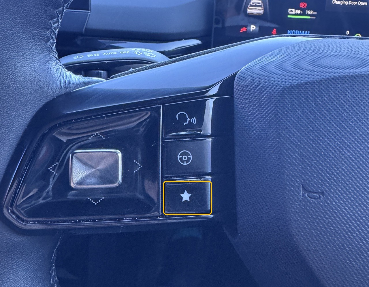 The star button on the steering wheel